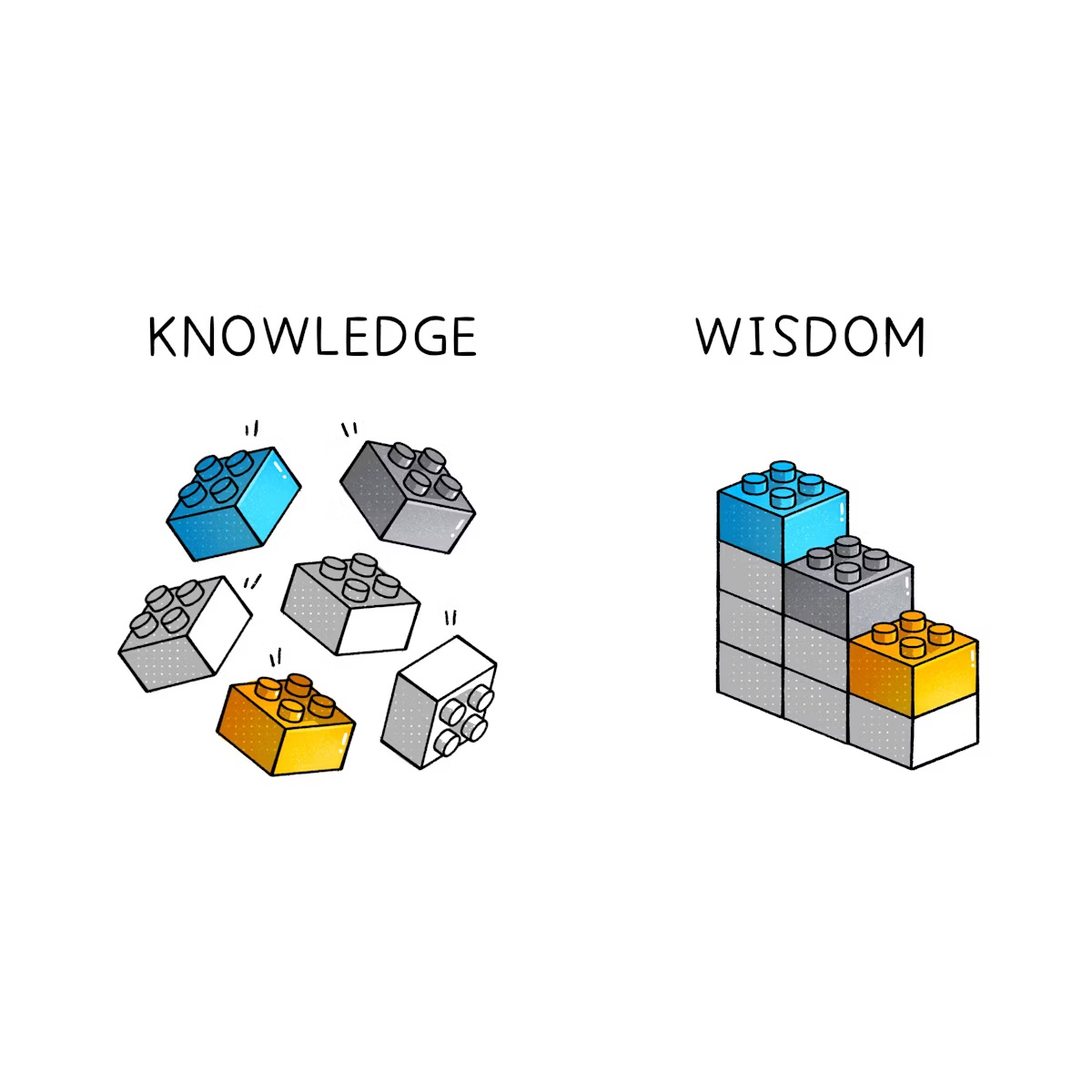knowledge vs wisdom
